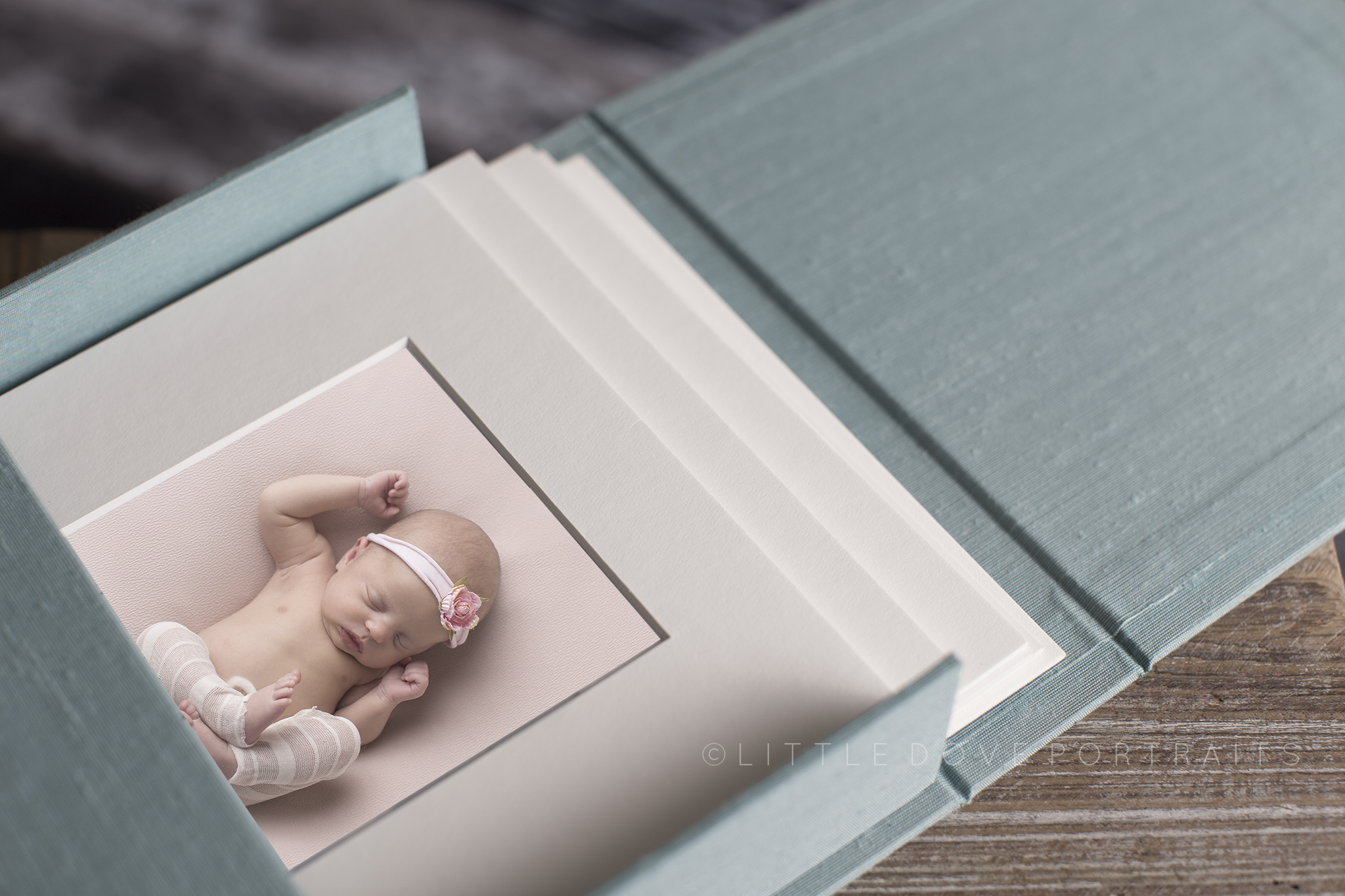 Little Dove Portraits - Dallas Newborn Photographer #newbornphotographer #album 