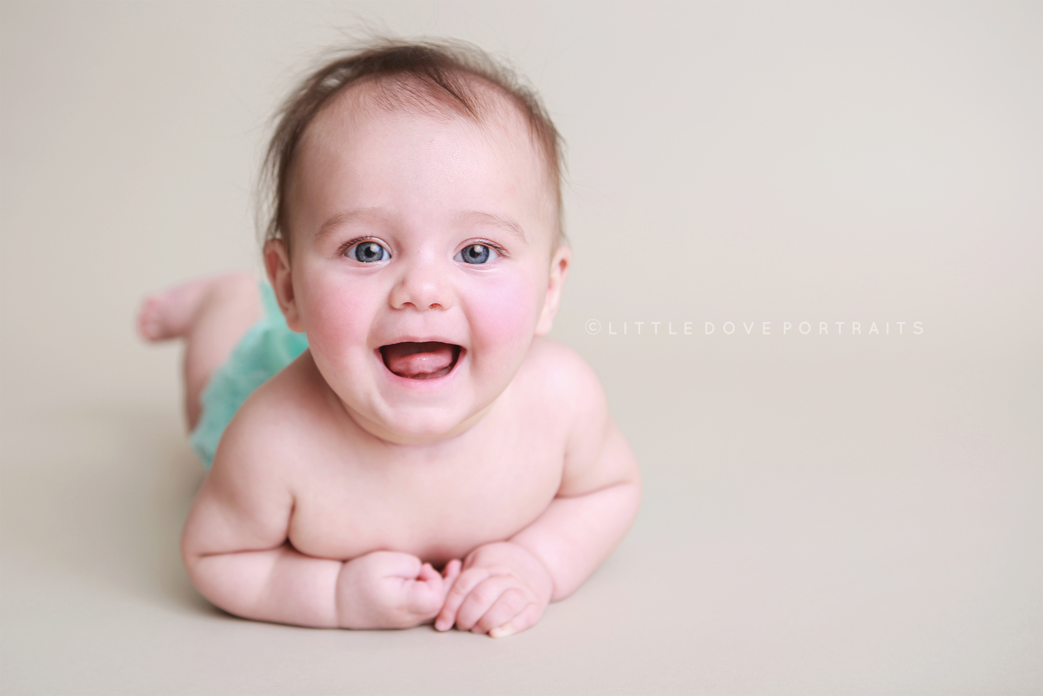 Little Dove Portraits - Dallas Newborn & Baby Milestone Photographer #newbornphotographer #album #milestonephotos