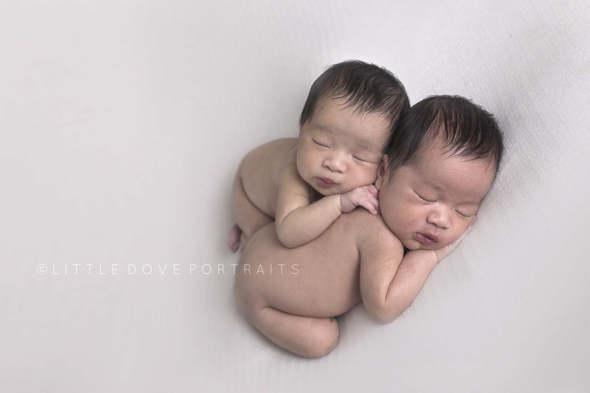Plano TX Newborn photographer - Wylie studio - twins newborn portraits #dallasnewbornphotographer #newborntwins #planonewbornphotographer #newbornphotographer #maternityphotographer #famiyportraits