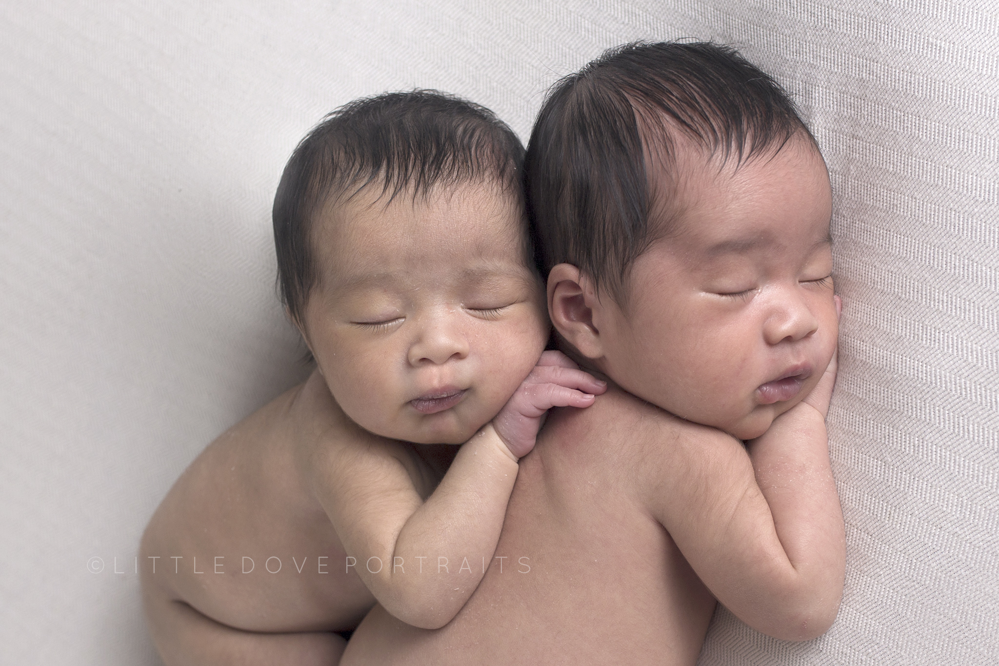 Plano TX Newborn photographer - Wylie studio - twins newborn portraits #dallasnewbornphotographer #newborntwins #planonewbornphotographer #newbornphotographer #maternityphotographer #famiyportraits