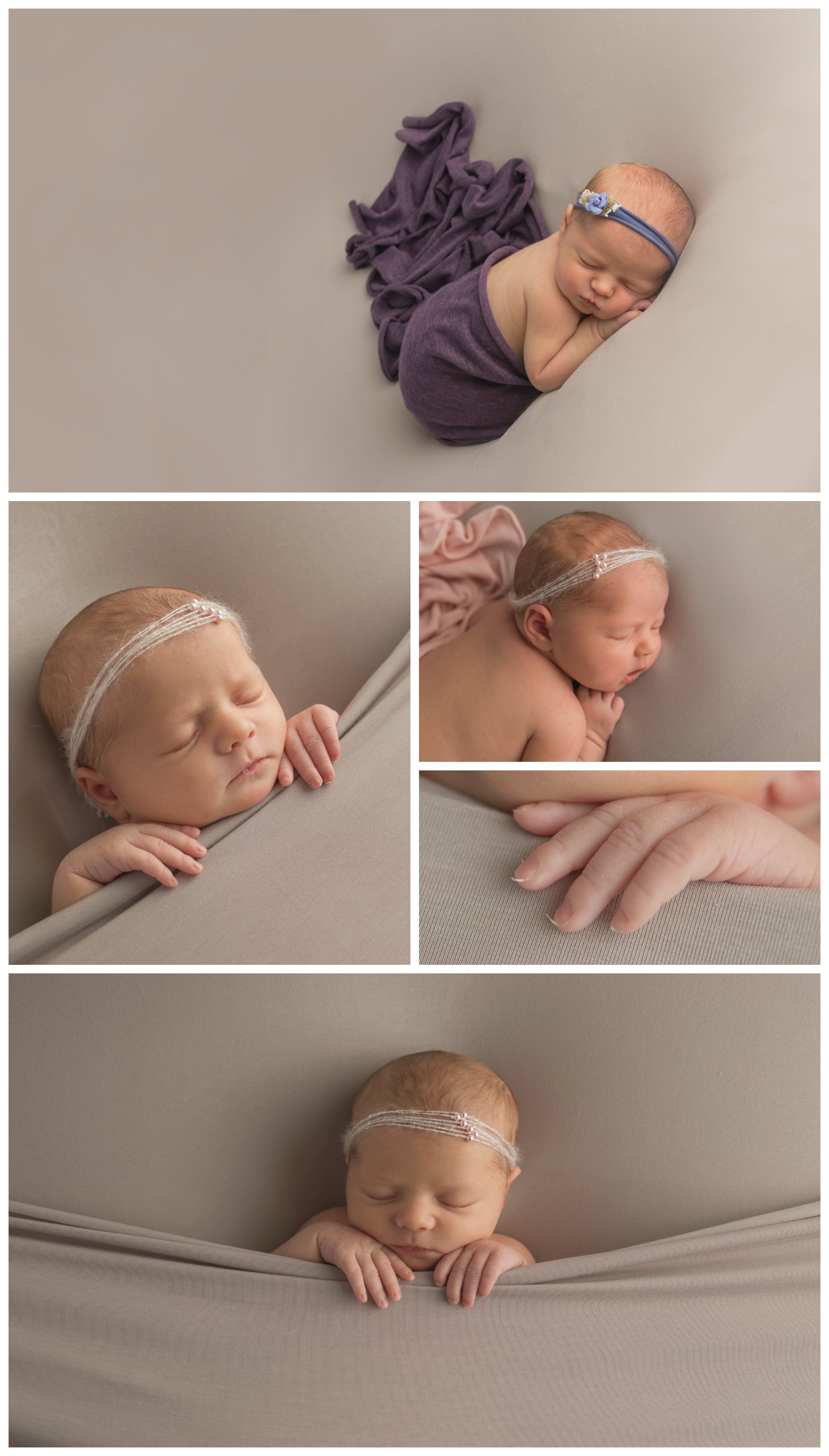 Little Dove Portraits - Newborn | Maternity | Baby | Family