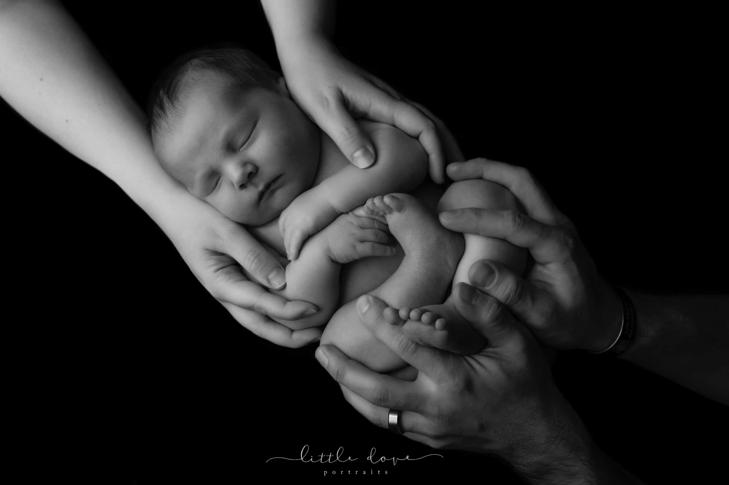 black and white pictures for babies by the best Dallas newborn photographer